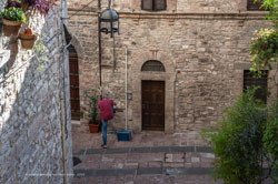 assisi